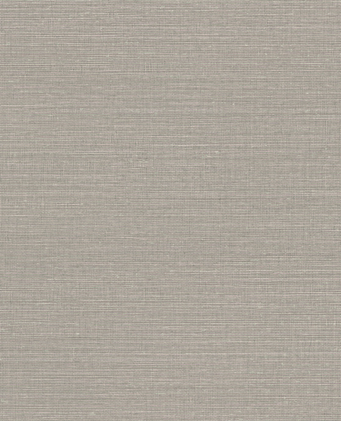 CANVAS 313500