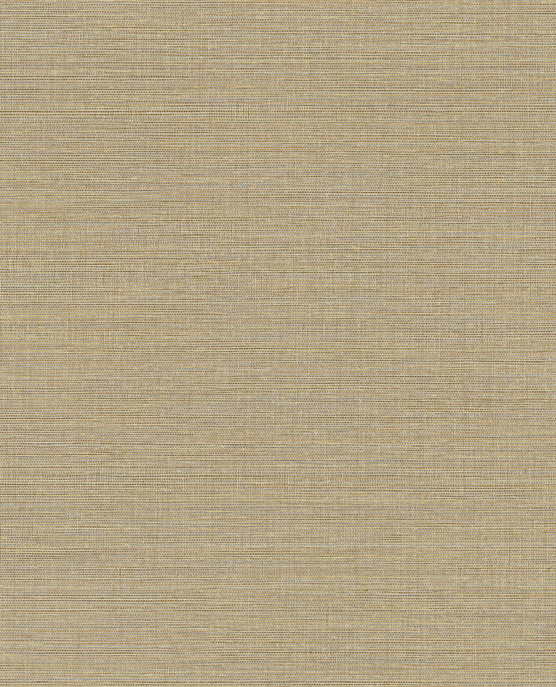 CANVAS 313501