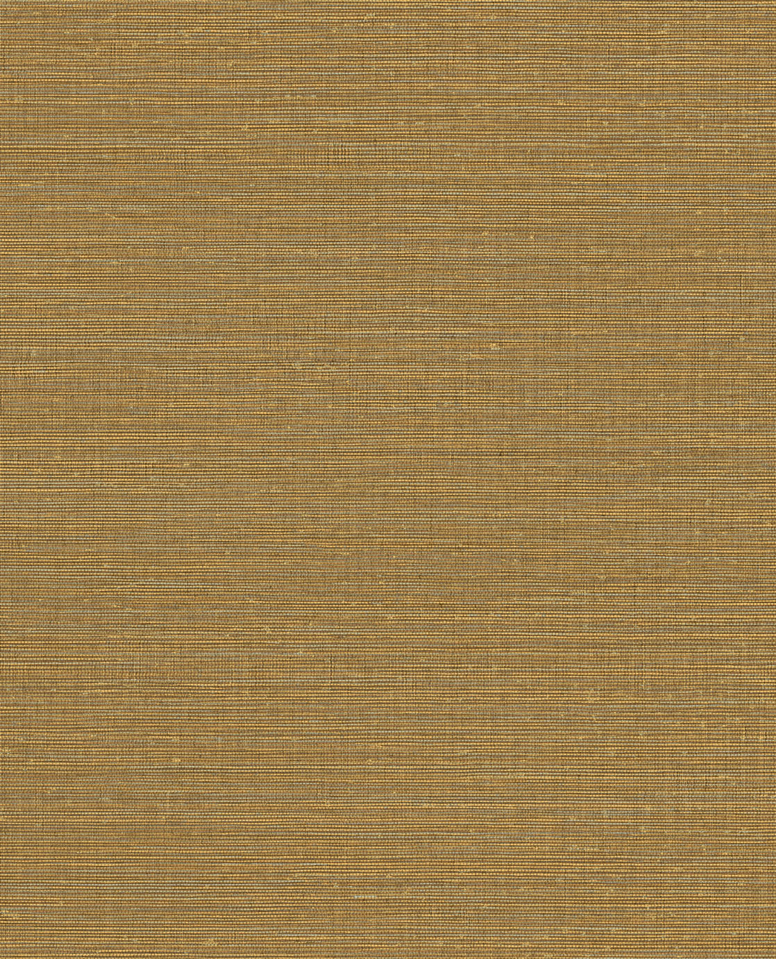 CANVAS 313502