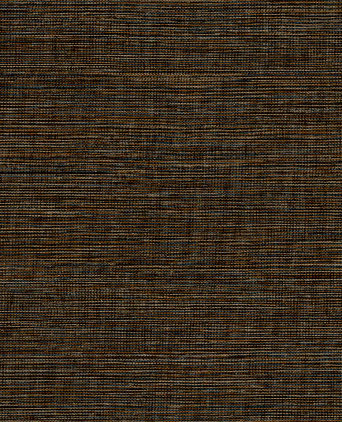 CANVAS 313504