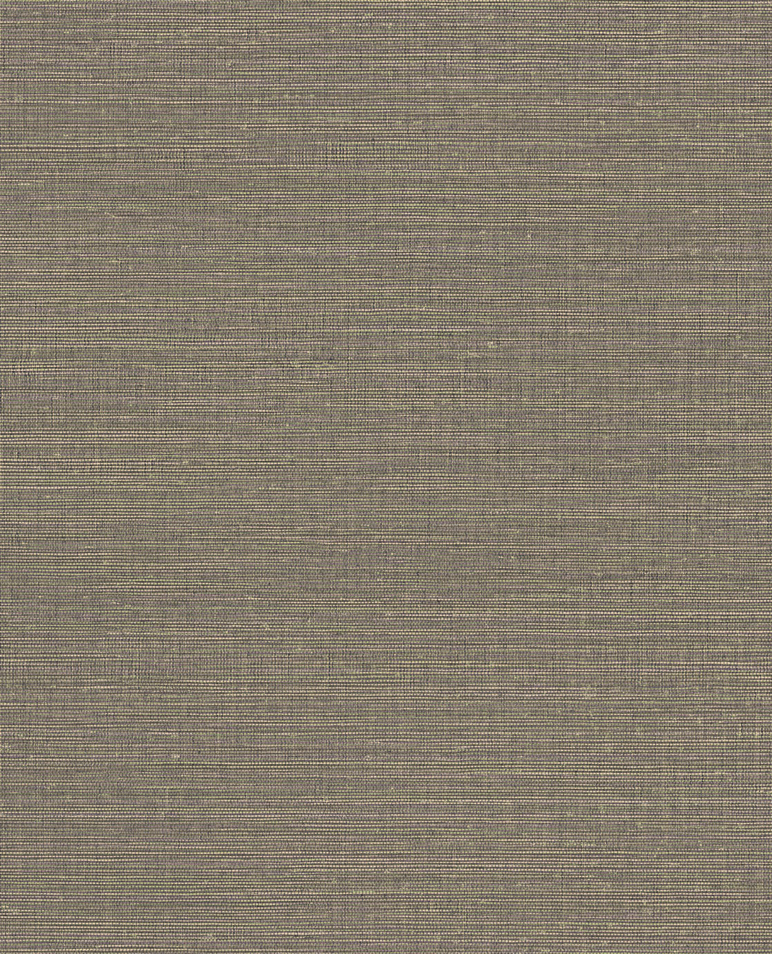 CANVAS 313506