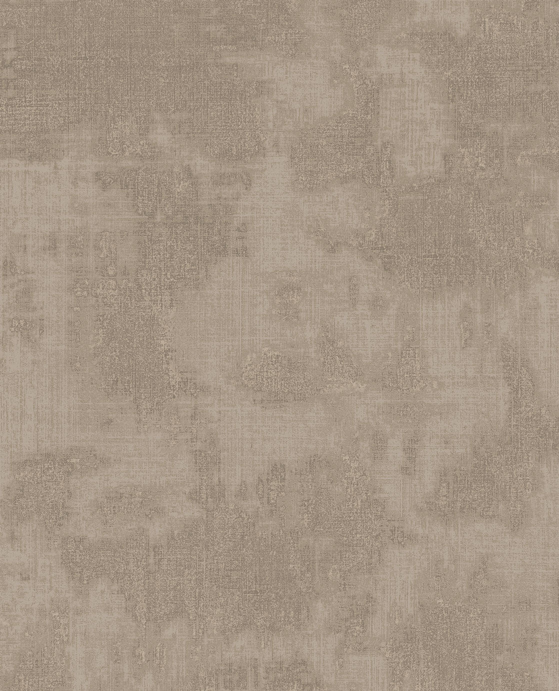 CANVAS 313521