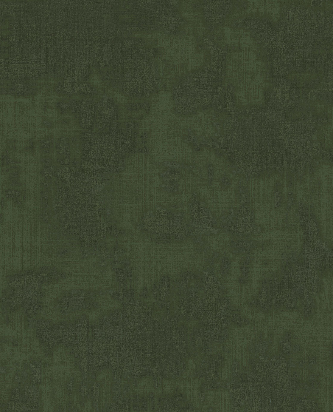 CANVAS 313526