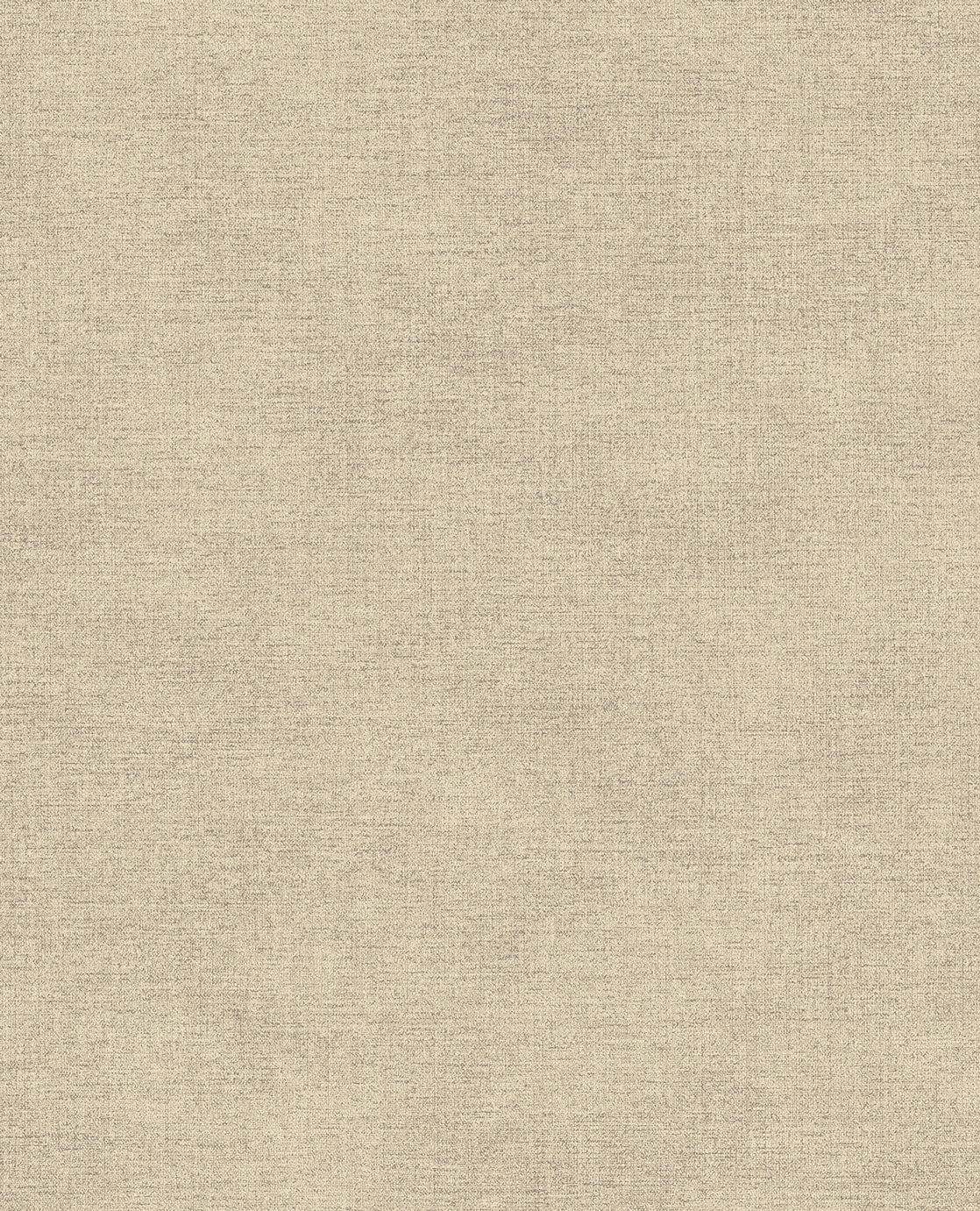 CANVAS 313550