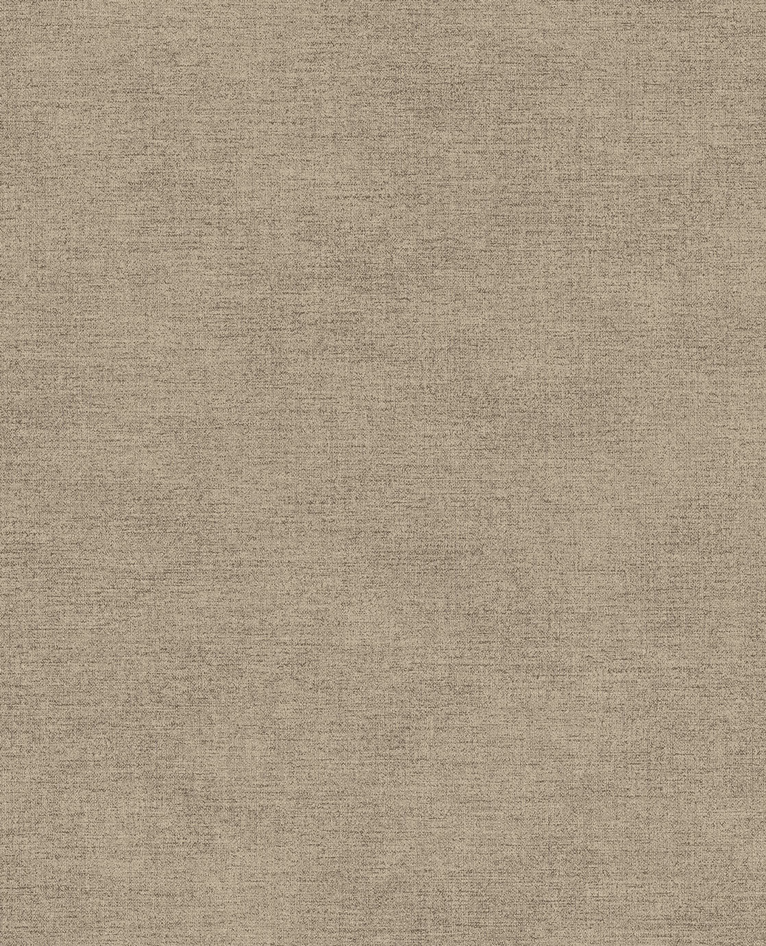 CANVAS 313551