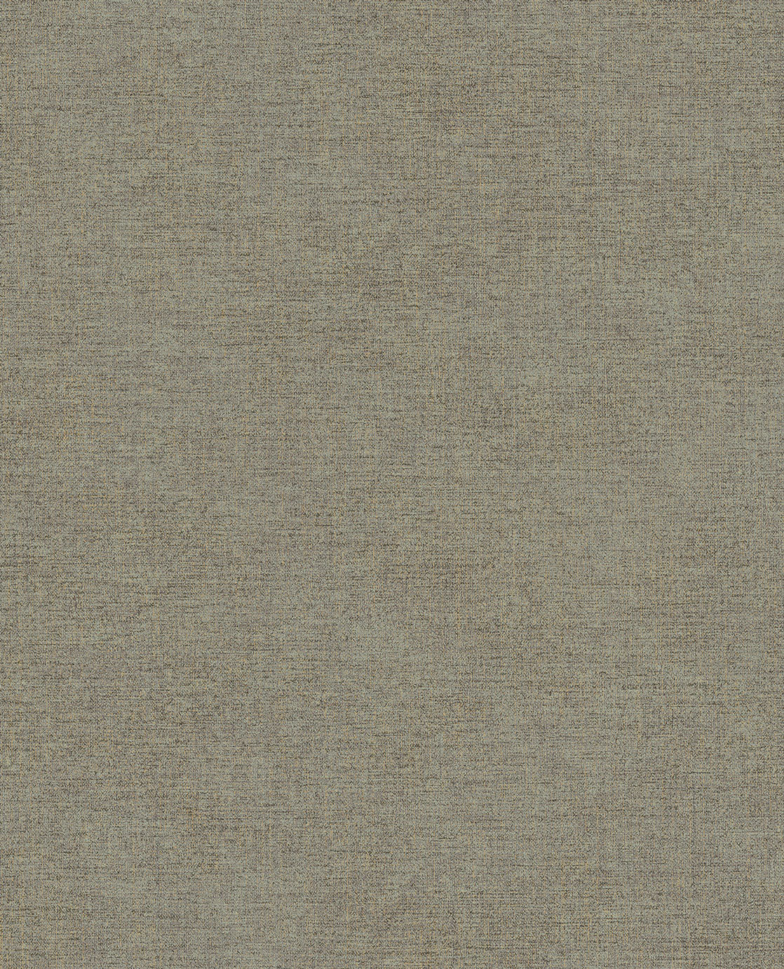 CANVAS 313555