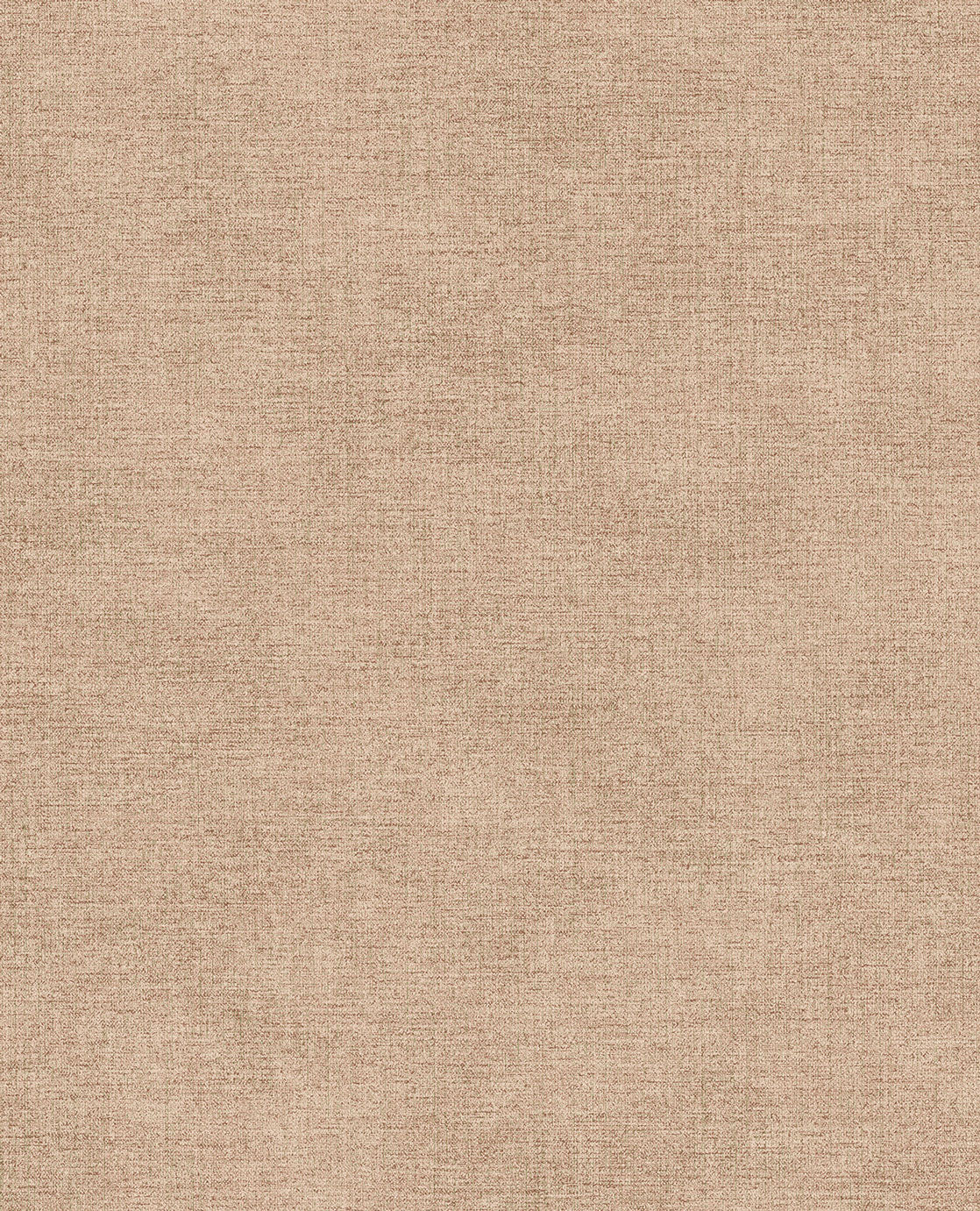CANVAS 313559