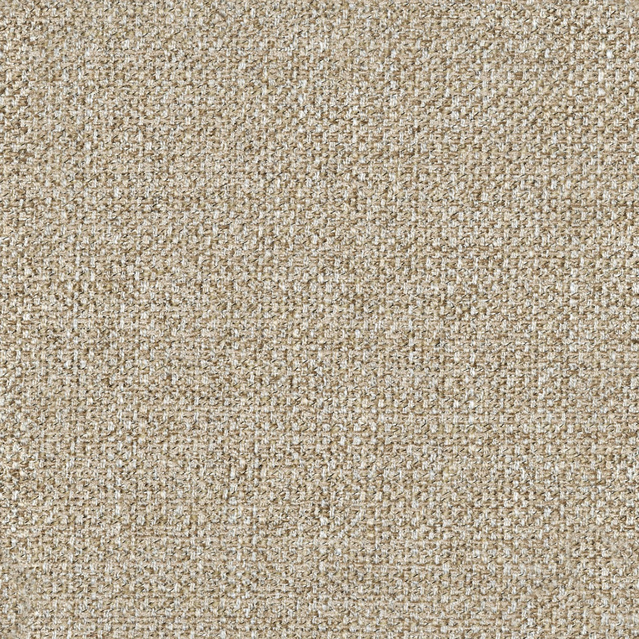 Safari 4002
