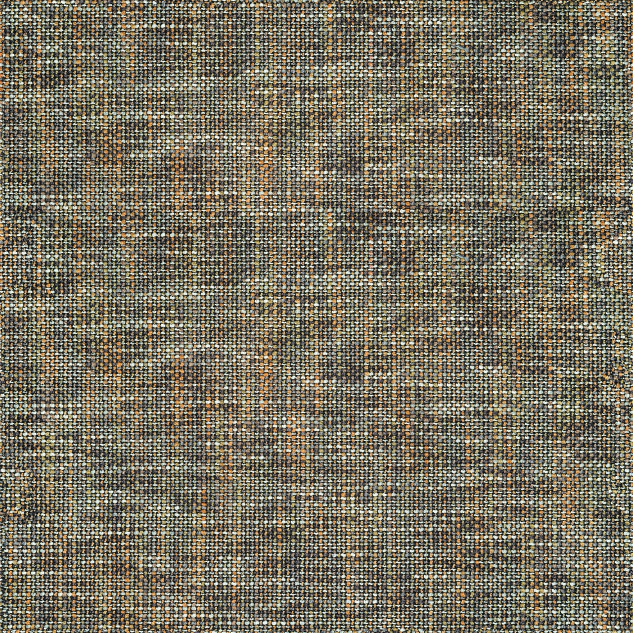 Safari 4013