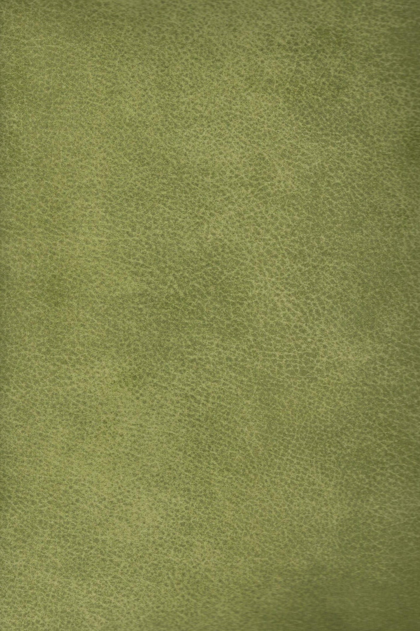 Strapazierfähiger und fleckgeschützer Bezugstoff Pelle 6944 | Fleckschutz von Trend-Stoff