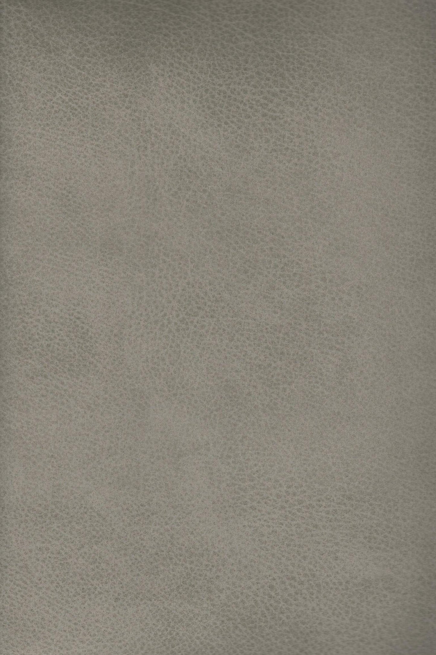Strapazierfähiger und fleckgeschützer Bezugstoff Pelle 6958 | Fleckschutz von Trend-Stoff