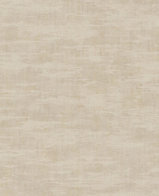 CANVAS 313542
