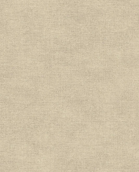 CANVAS 313550