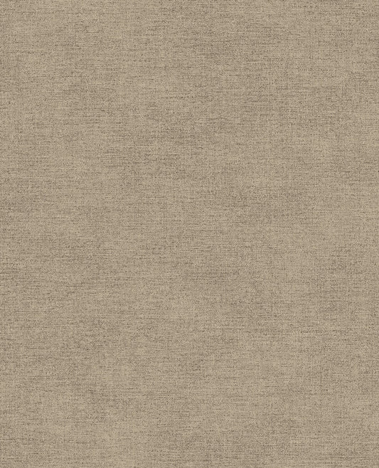 CANVAS 313551