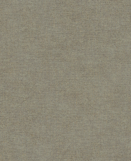 CANVAS 313555