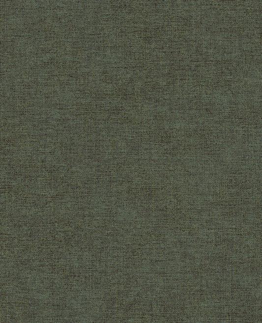 CANVAS 313556