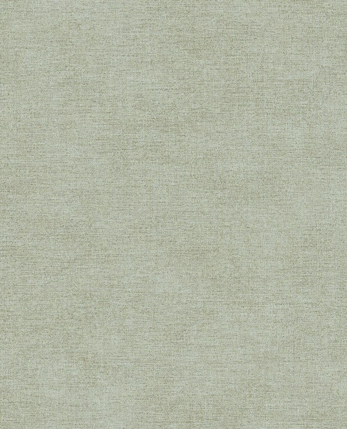 CANVAS 313557