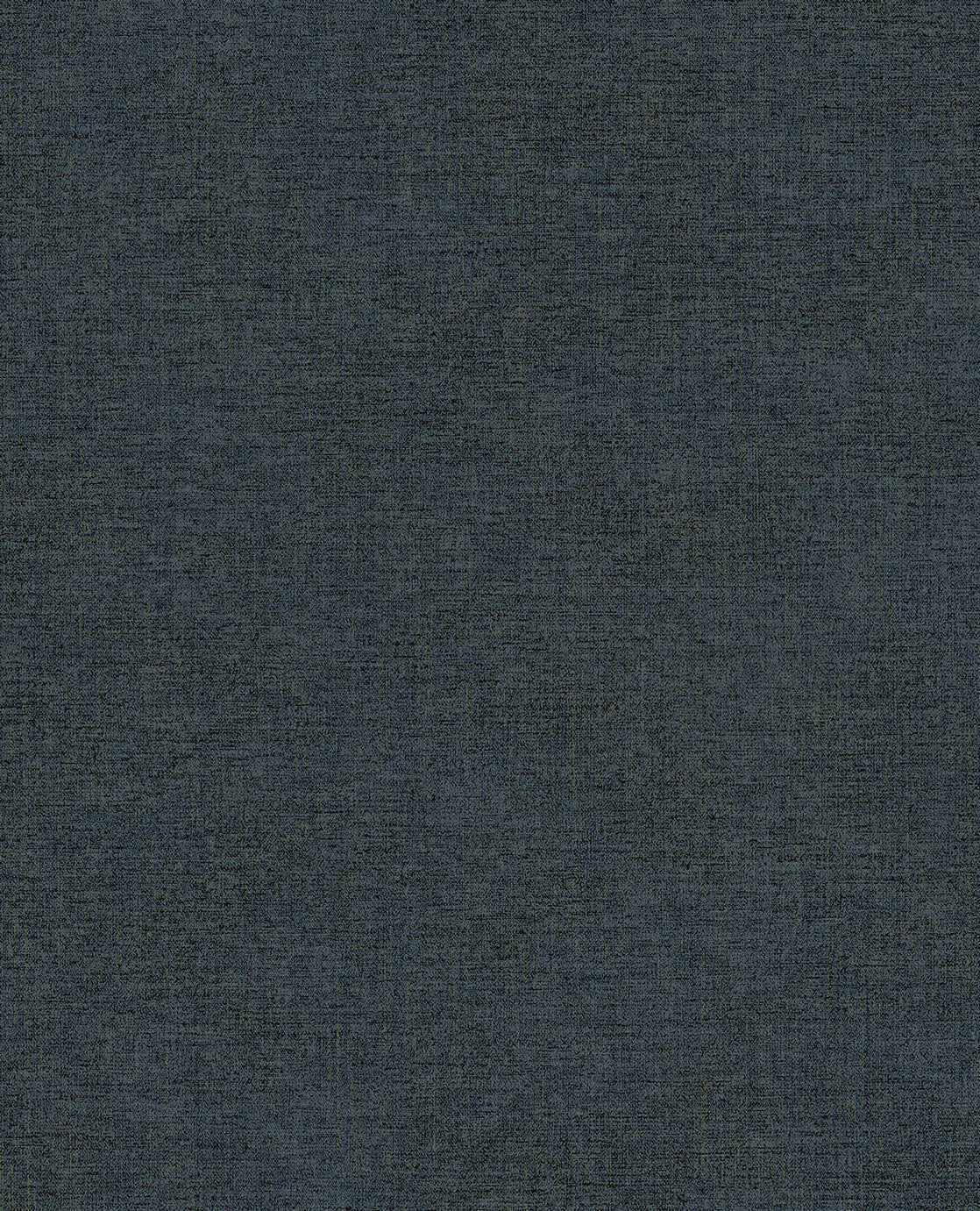 CANVAS 313558