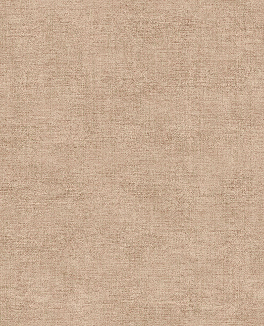 CANVAS 313559