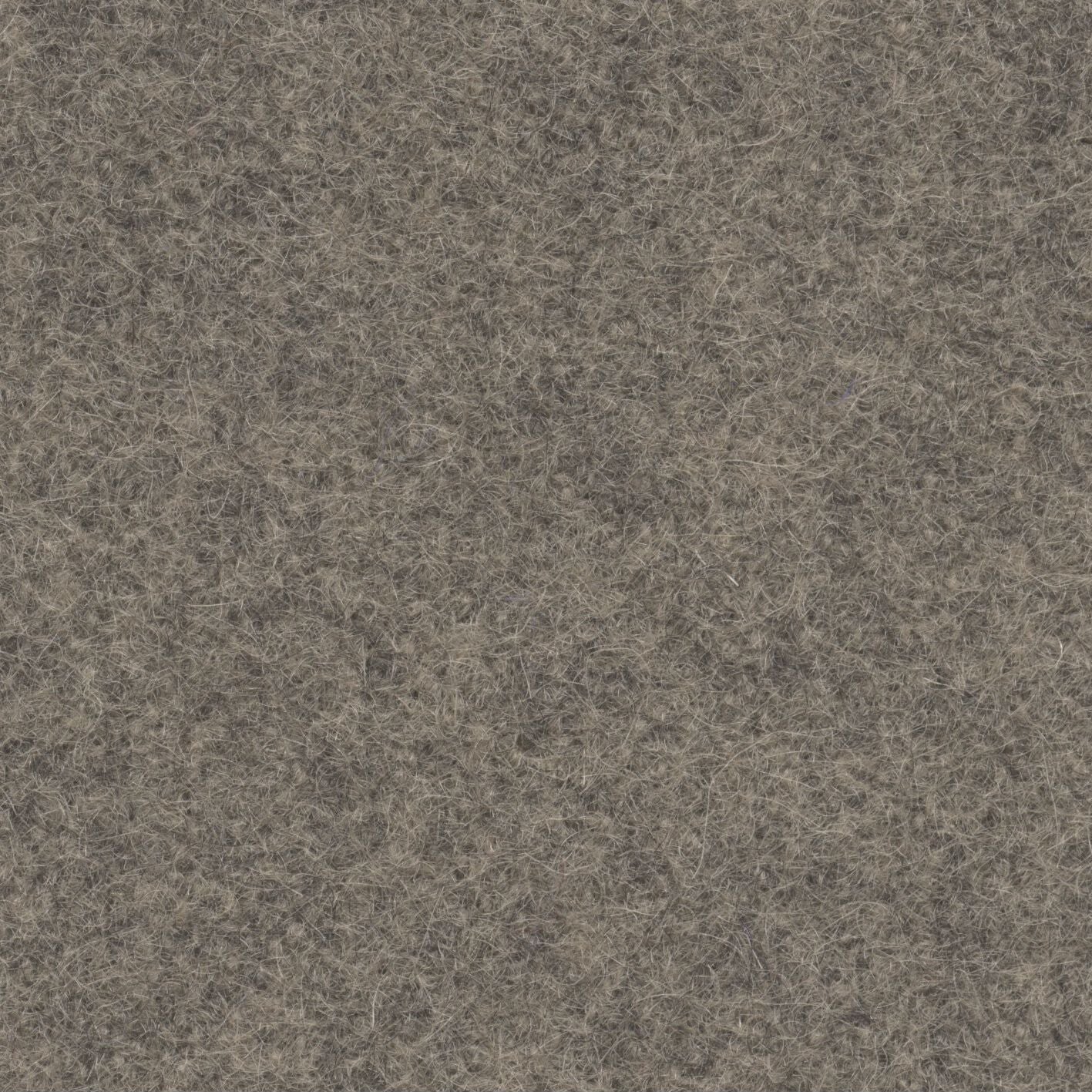 Loden 3429