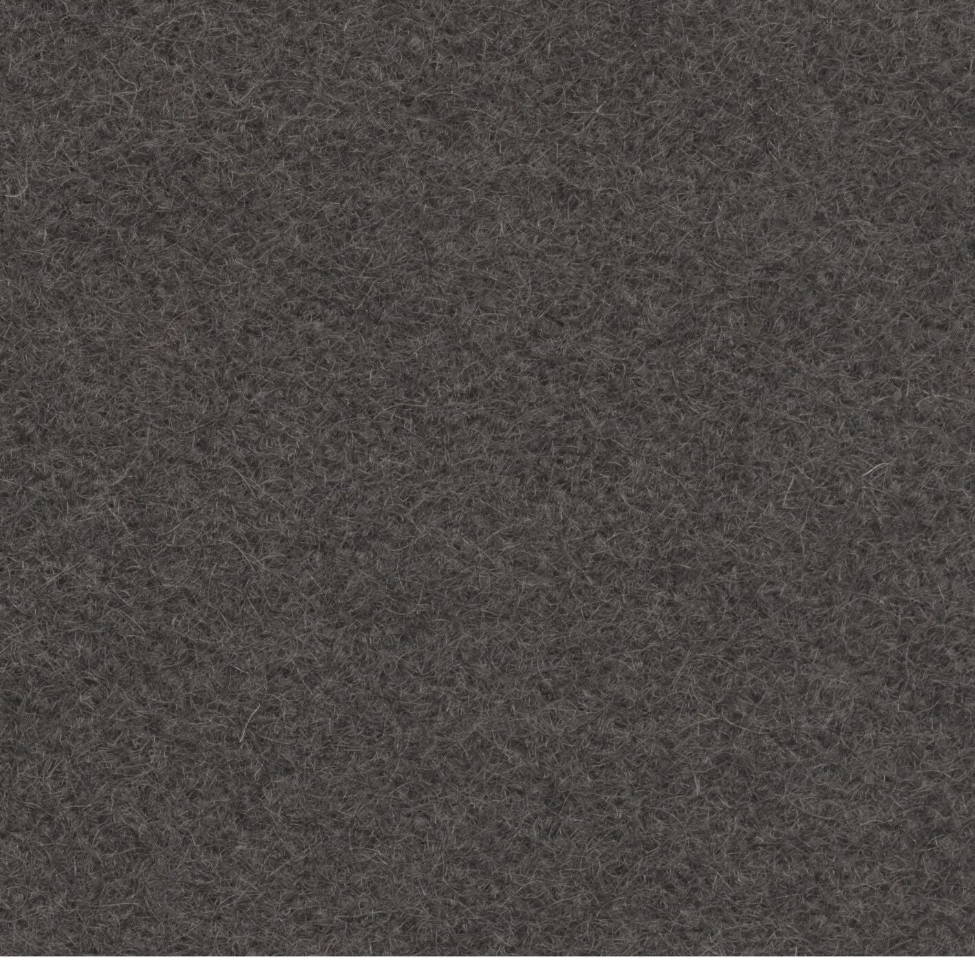 Loden 3431