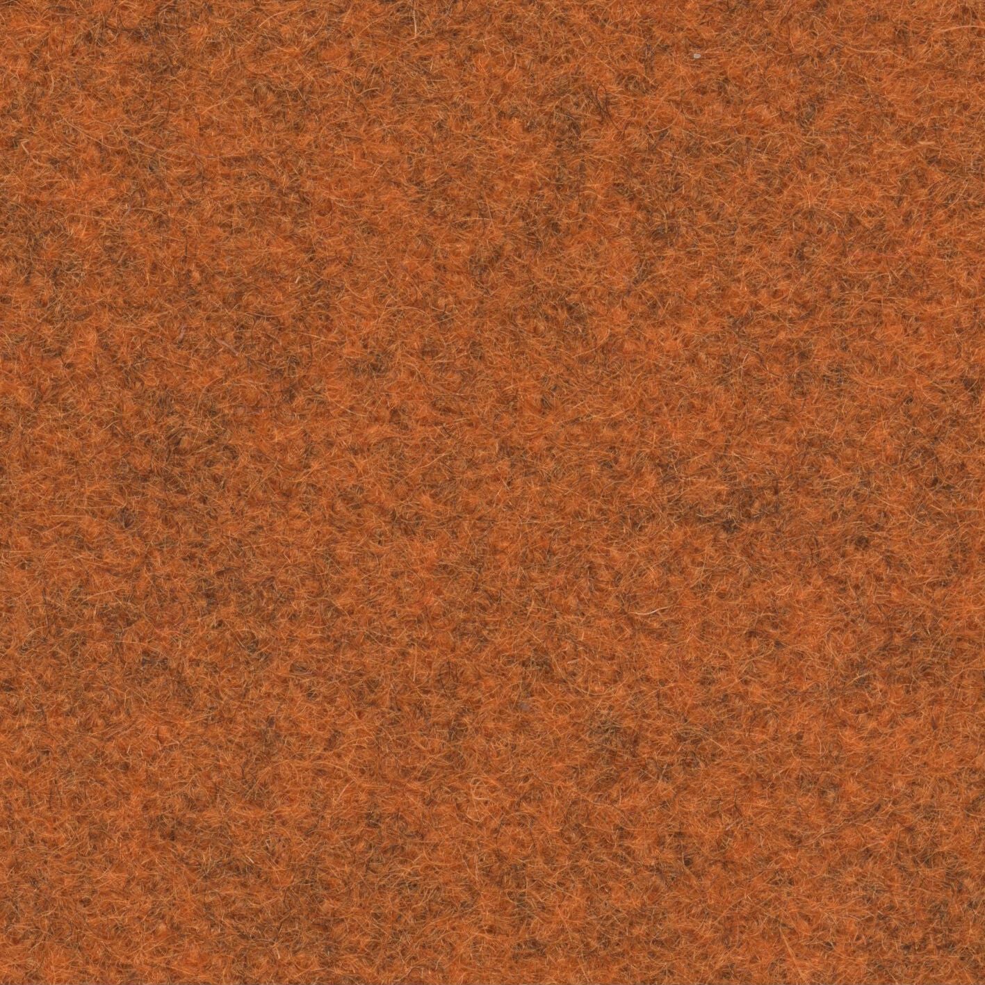 Loden 3434