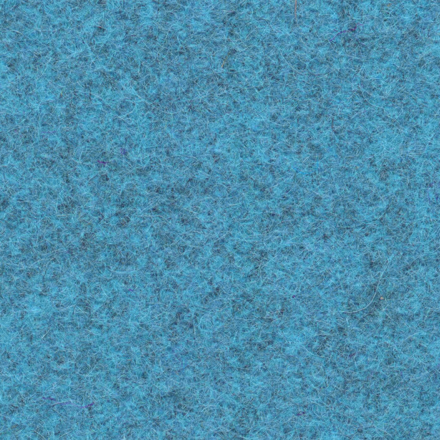Loden 3445