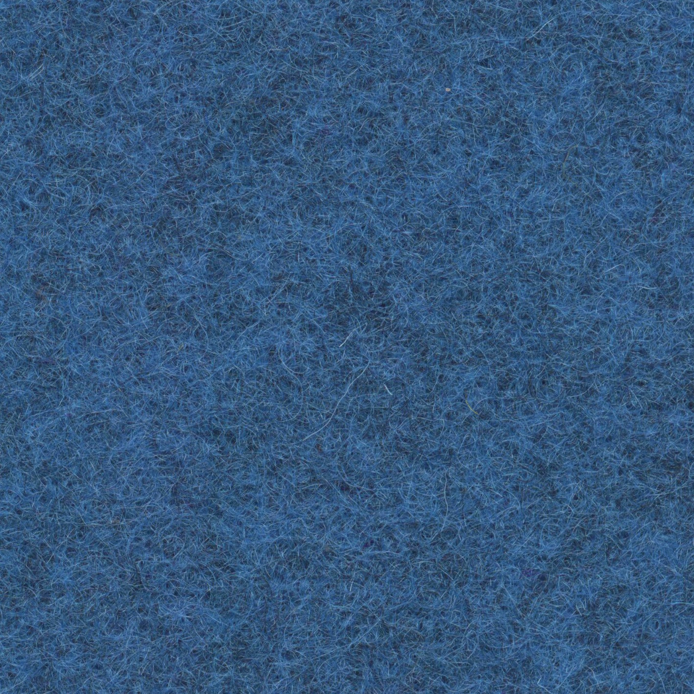 Loden 3446