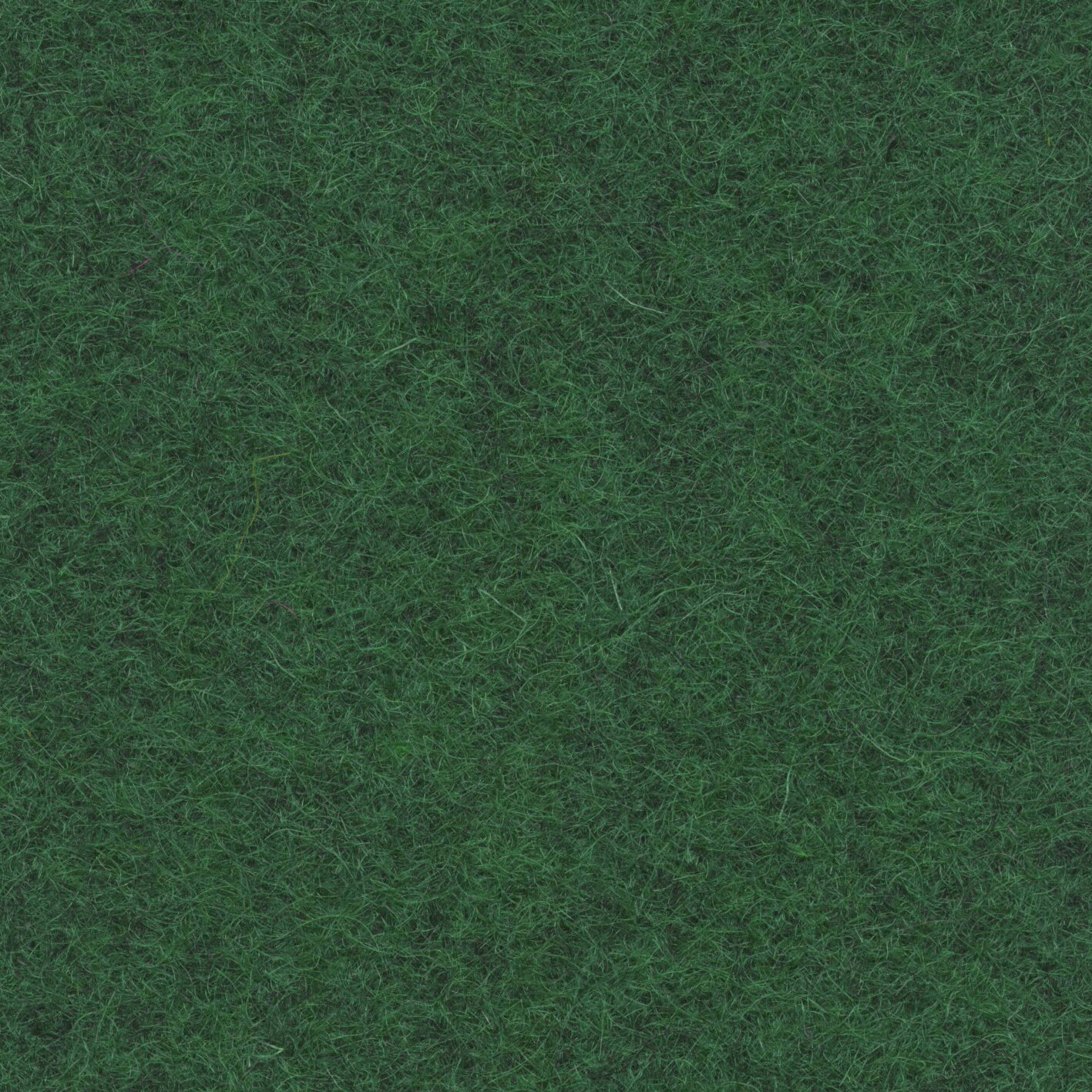 Loden 3449