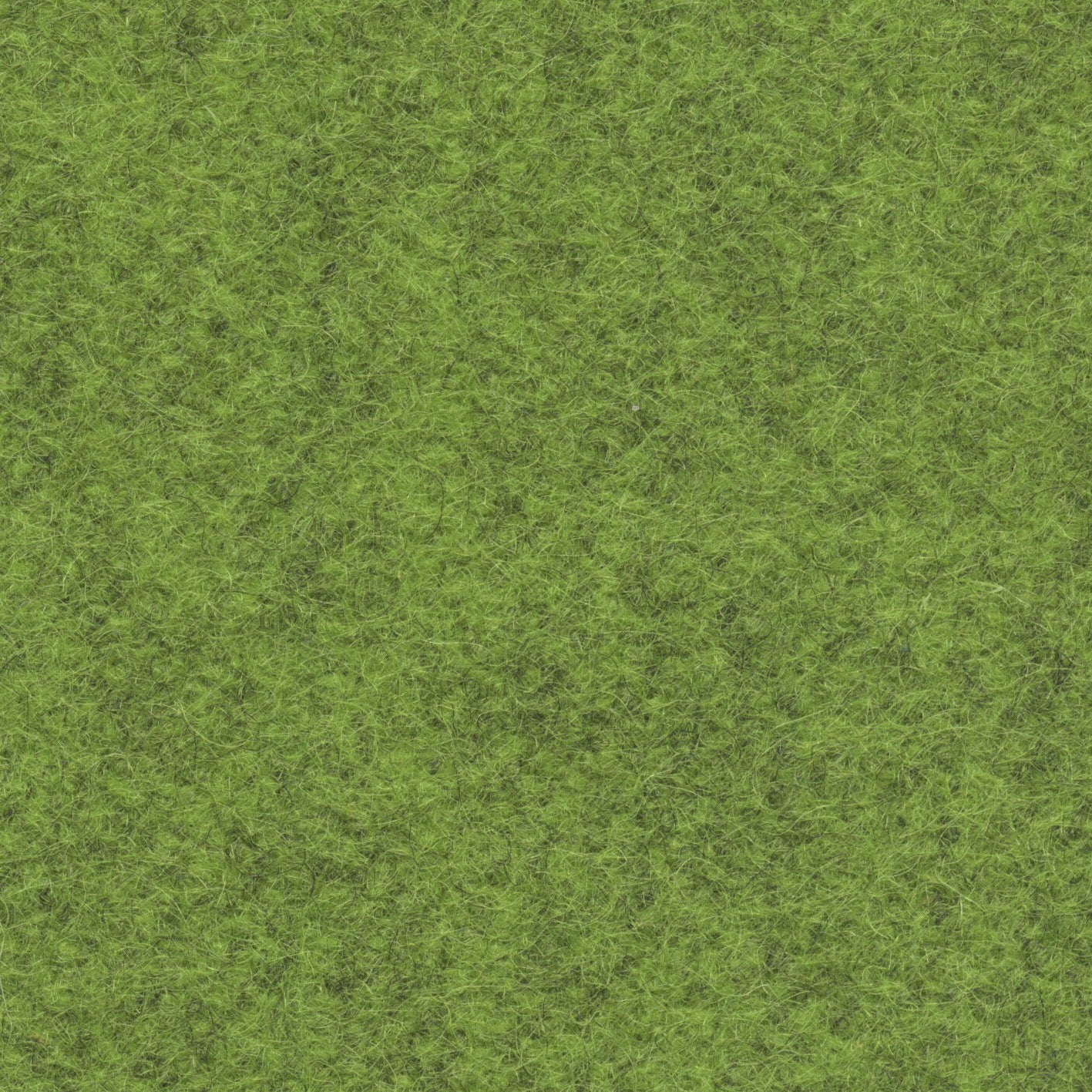 Loden 3450