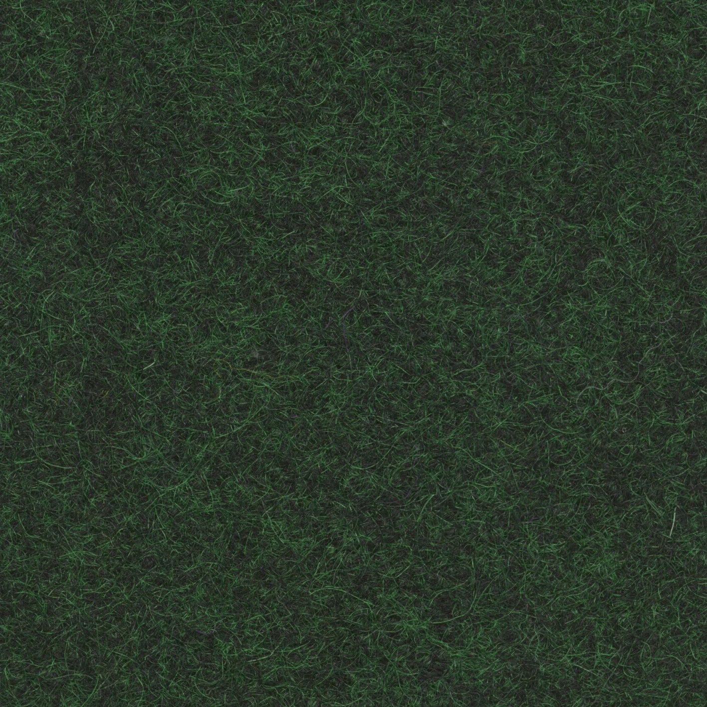 Loden 3451