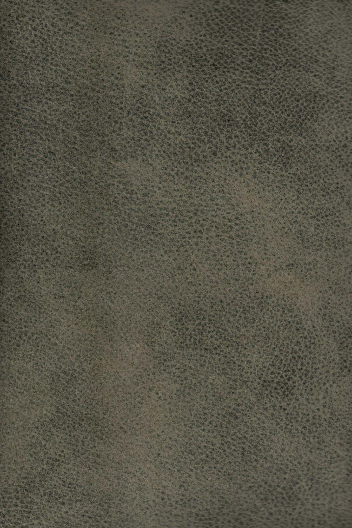 Strapazierfähiger und fleckgeschützer Bezugstoff Pelle 6956 | Fleckschutz von Trend-Stoff