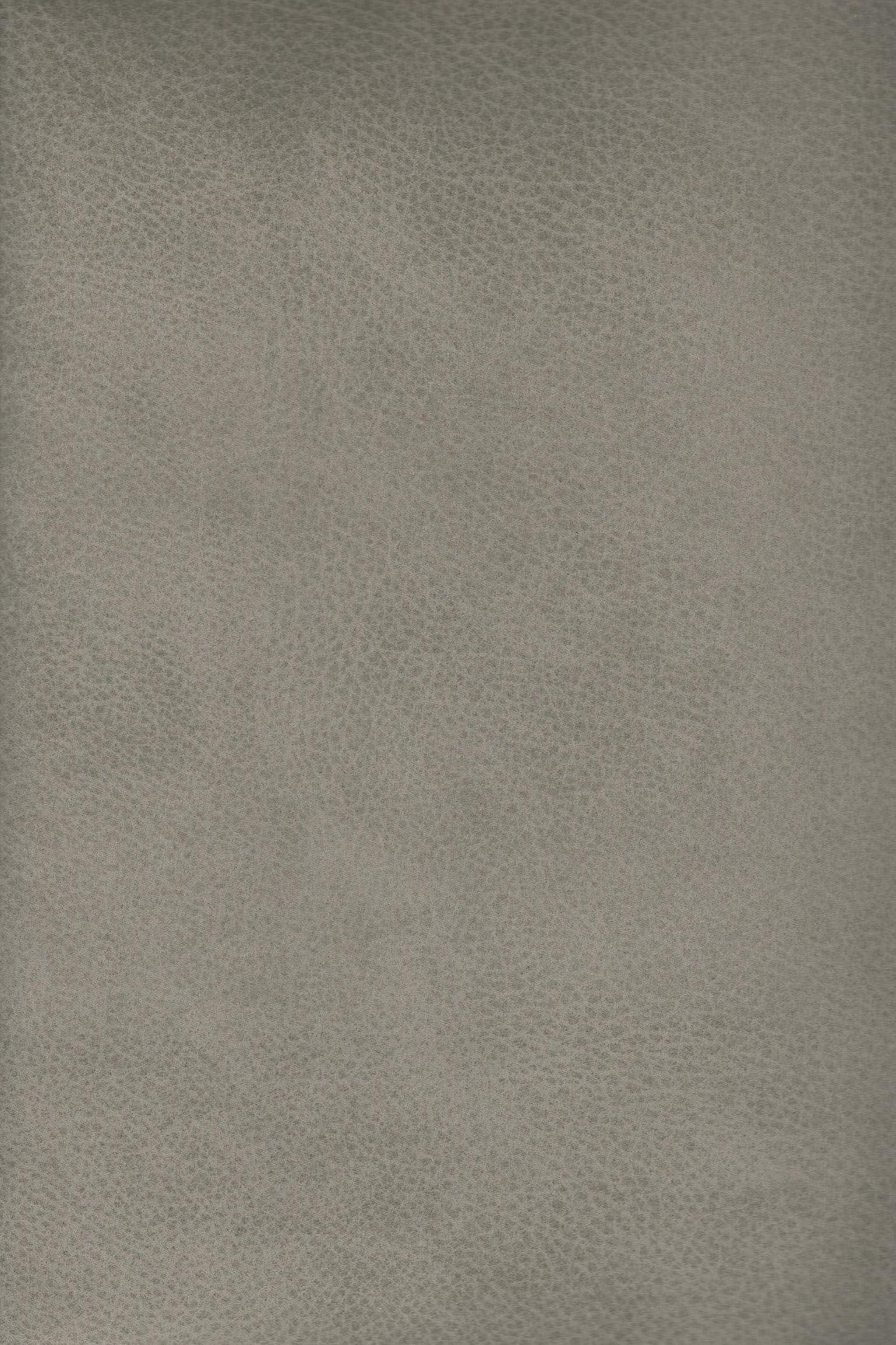 Strapazierfähiger und fleckgeschützer Bezugstoff Pelle 6958 | Fleckschutz von Trend-Stoff