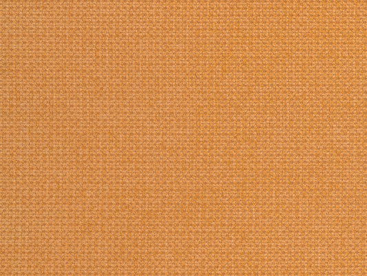 ELENA 2 | 166