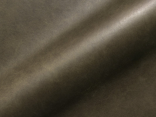 Denali 124