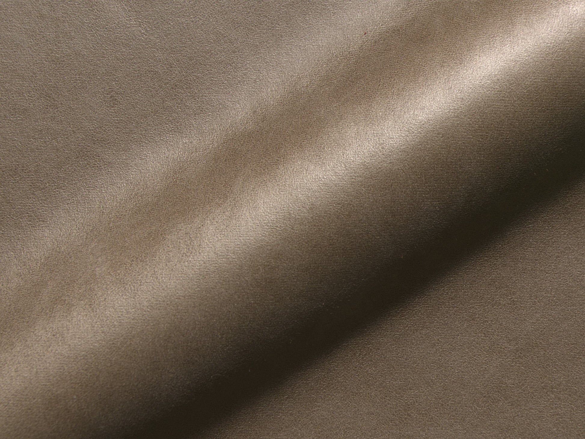 Denali 172