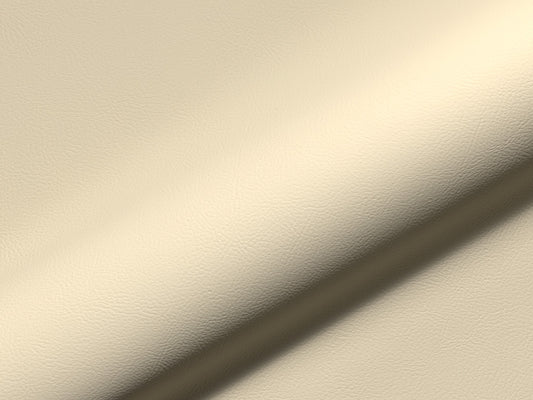 Rio Fr 921
