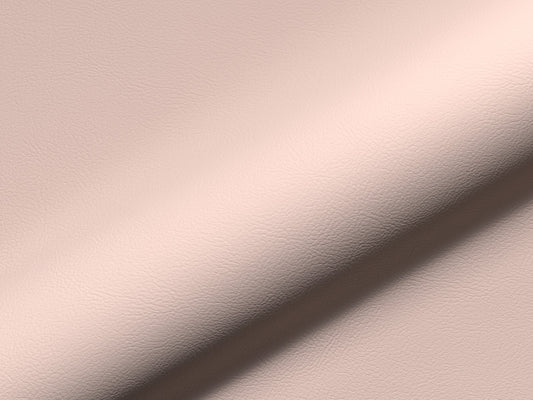 Rio Fr 955