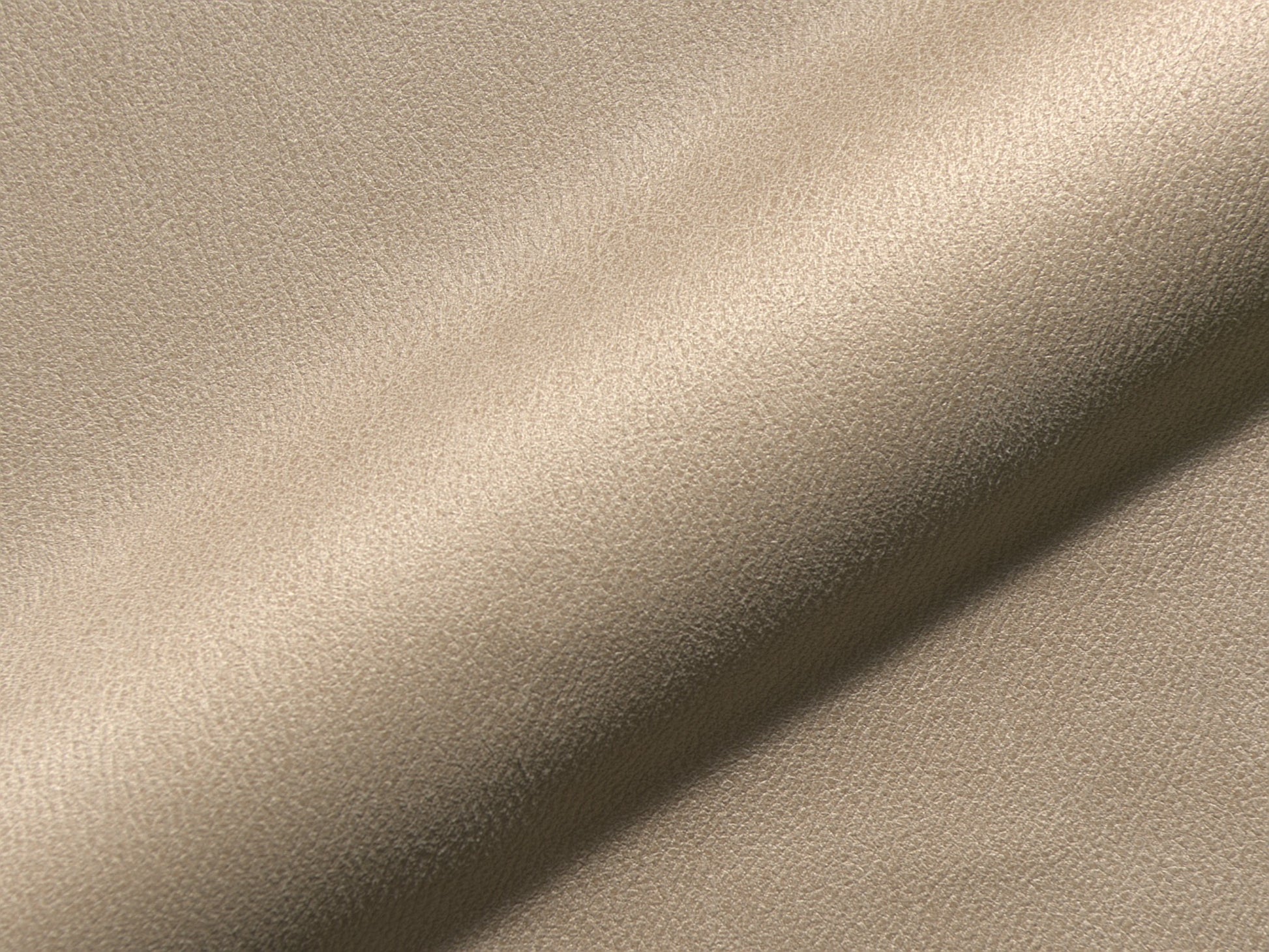 Utori 161
